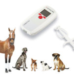 Microchipping Horses