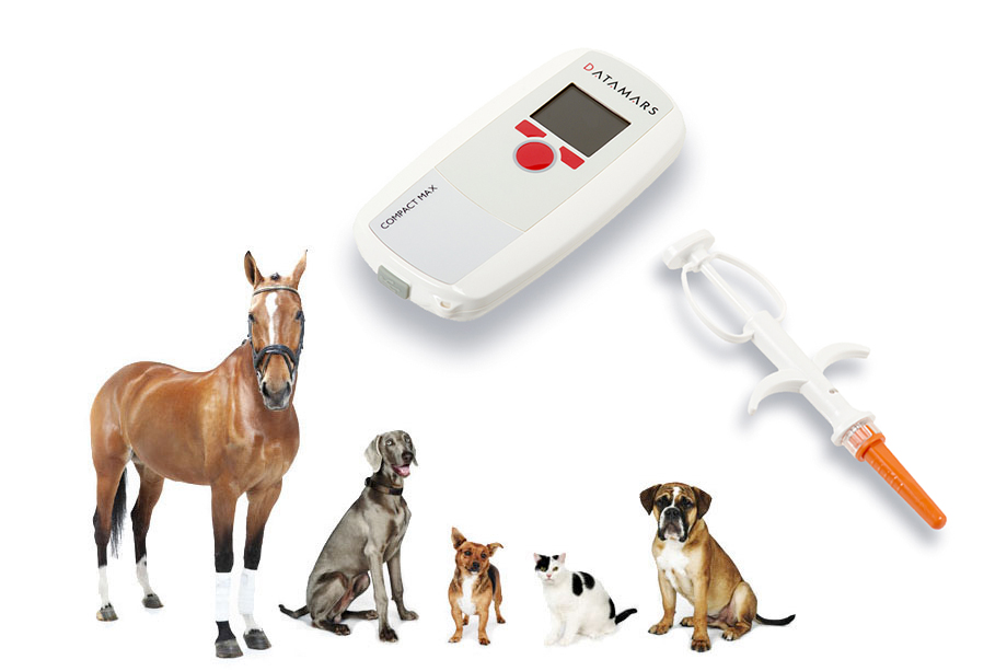 Microchipping Horses