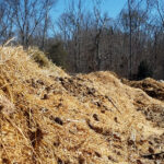 Manure Pile