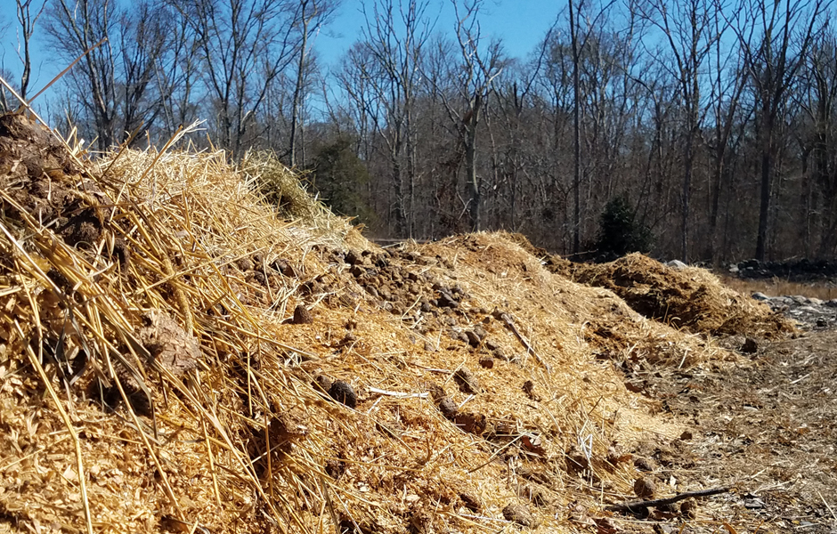 Manure Pile