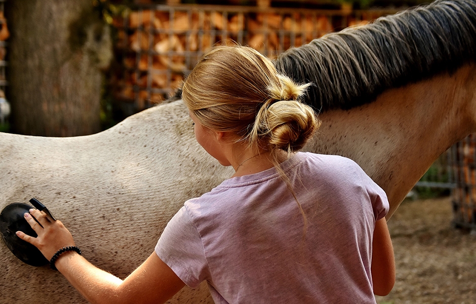 Groom Currying Horse