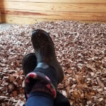 Shredded Cardboard Horse Bedding