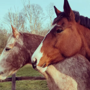 Headshot of Siouxsie and Brody