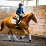 Chelsea cantering Eddie bridleless