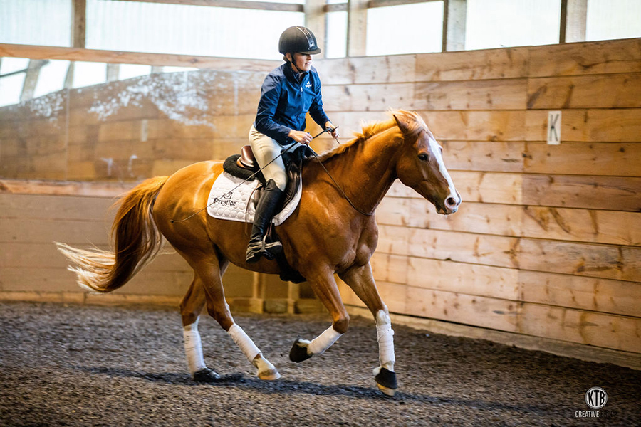 Chelsea cantering Eddie bridleless