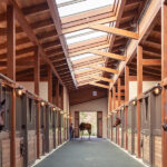 Horse Barn Interior
