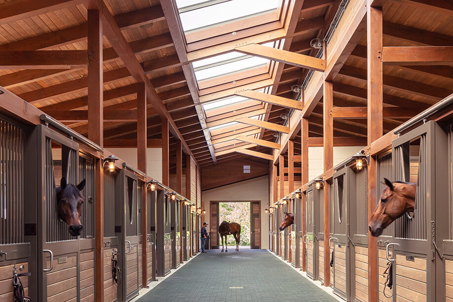 Horse Barn Interior
