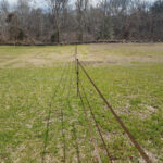 Divided our field into two paddocks