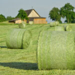 Round Bale Hay