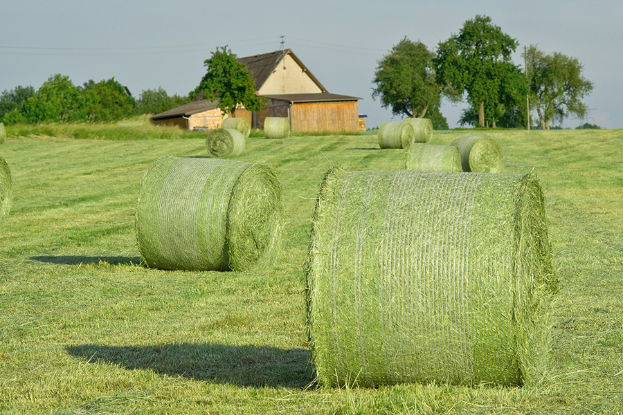 Round Bale Hay