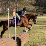 Ashley jumping xc