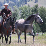 Don Jessop ponying one horse from the back of another