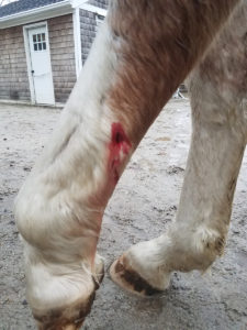 Wounded leg (not gory)