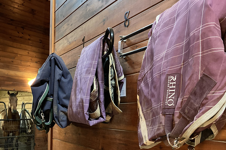 Horse blankets hanging up