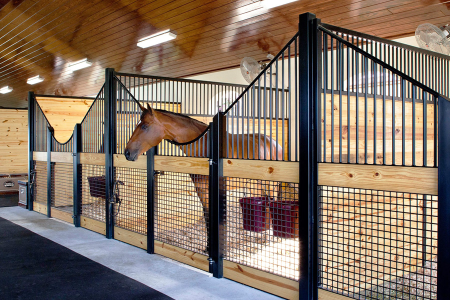 Mesh euro stall fronts with a chestnut horse in one stall