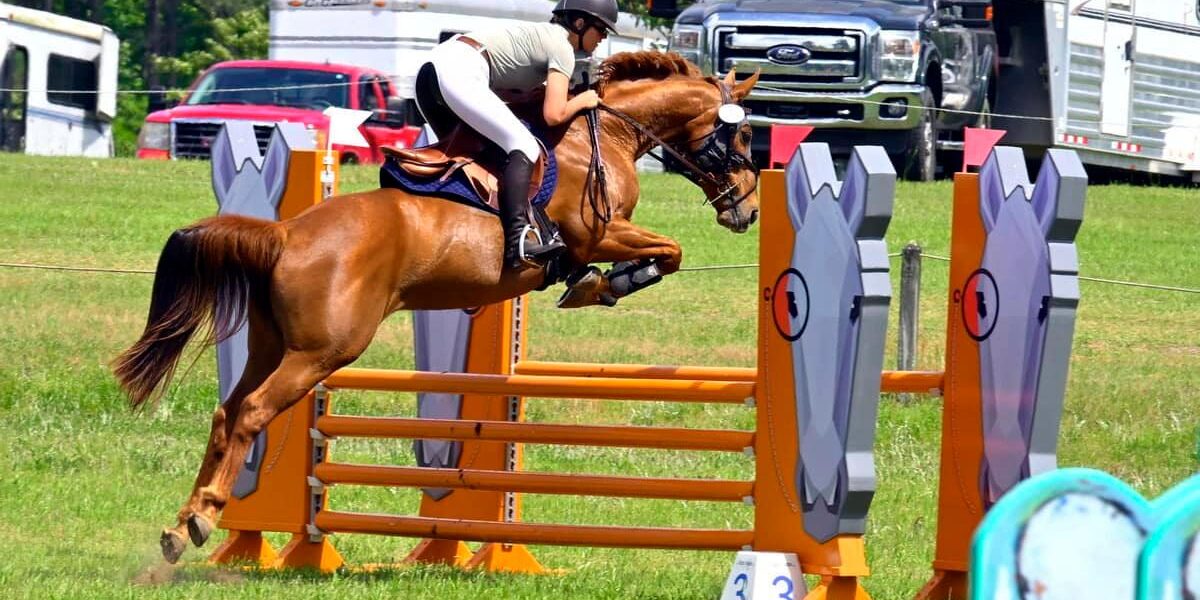 Rider jumping over a show jump.