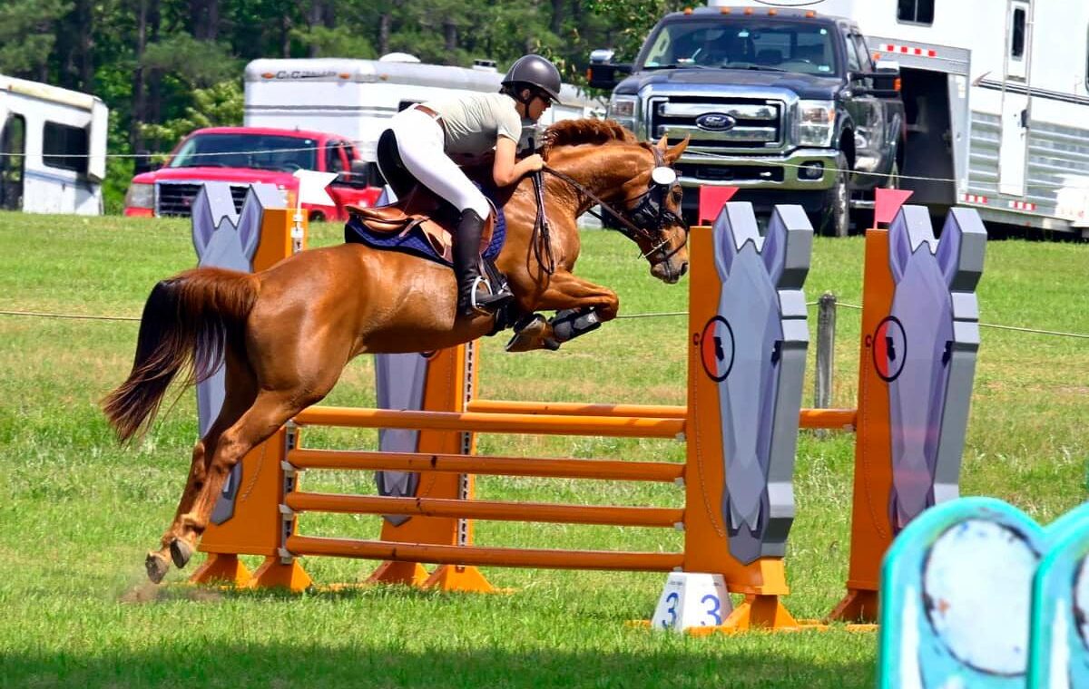 Rider jumping over a show jump.