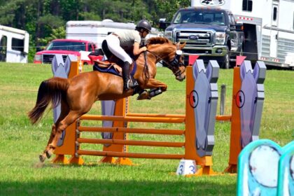 Rider jumping over a show jump.