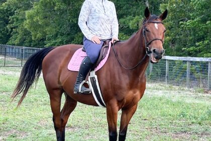 Helena on Clarabelle