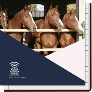 Business Plan Guide Cover