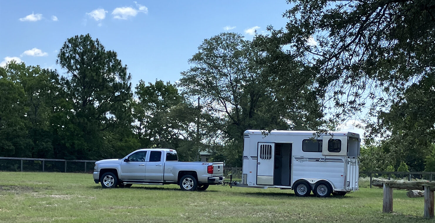 Truck and horse trailer