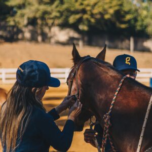 Woman adjusting a horse's bridle.