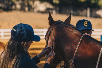 Woman adjusting a horse's bridle.